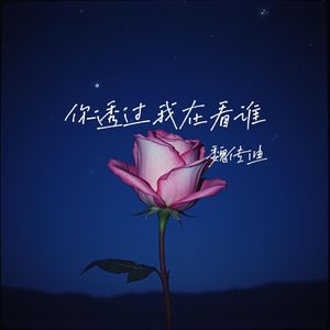 你透过我在看谁