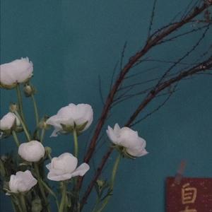 红色高跟鞋（温柔版）