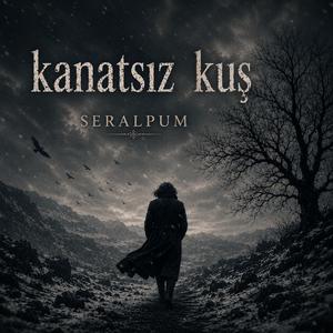 Kanatsız Kuş