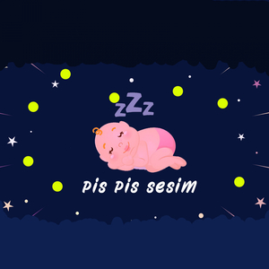 Pis Pis Sesi Hizli