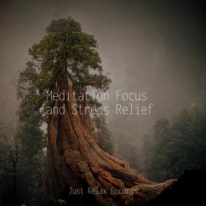 Solemn Sunrise Symphony