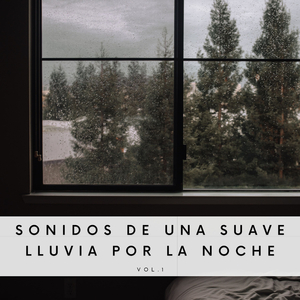 Sonidos Relajantes De Lluvia