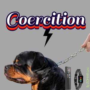 COERCITION