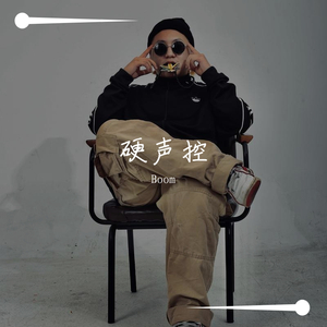 硬声控(Prod.房间里的大象）