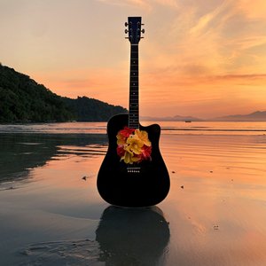 À Flor do Desinteresse