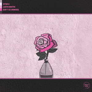 Don't Go (Model Man Remix)