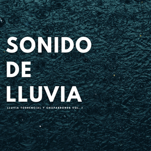 Lloviendo Y Diluviando