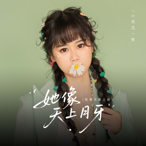 她像天上月牙 (我像井底之蛙)
