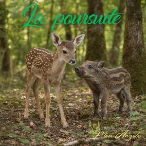 La poursuite