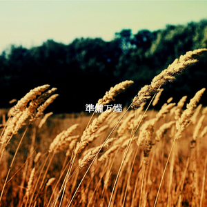 Distinguished Music for Wednesday Routines