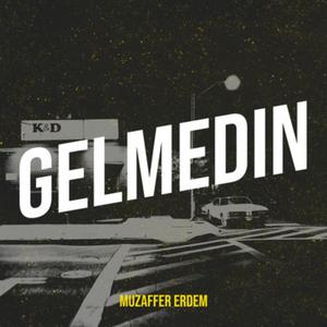 Gelmedin