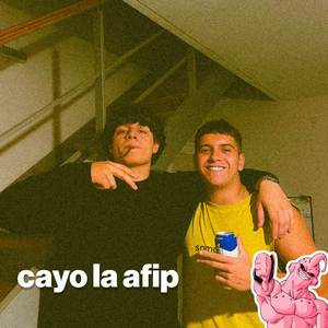 cayo la afip