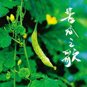 苦瓜之歌伴奏