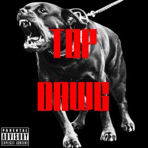 TOP DAWG