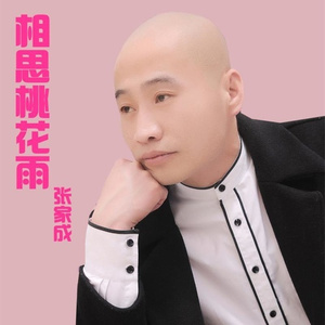 相思桃花雨 (DJ何鹏)