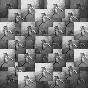 All The Necessary Things