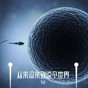 从来没来到这个世界