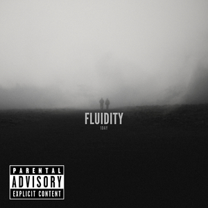 Fluidity