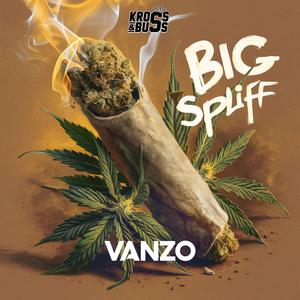 Big Spliff (feat. Vanzo & Dj Weedim)