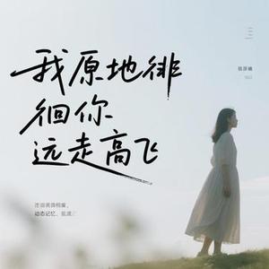我原地徘徊你远走高飞
