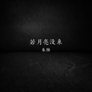 若月亮没来