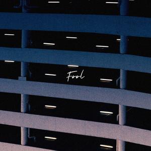 Fool