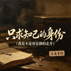 只求知己的身份（我是不是该安静的走开）