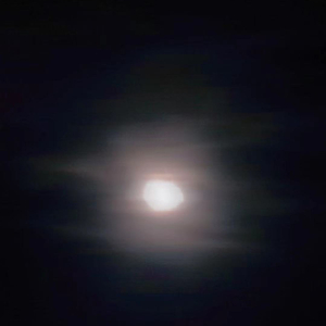 星月寻鹿我寻你