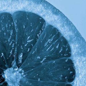 ムーンライト伝説