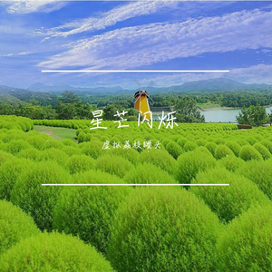 勇闯前路