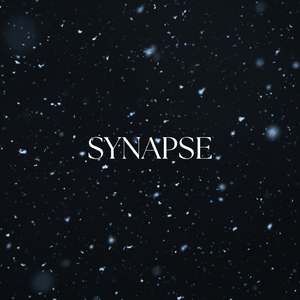 Synapse