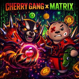 夜色亮起 我们不怕风