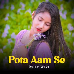 Pota Aam Se