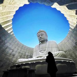 抖音流行ProgHouse全英文舒适拉手跳舞串烧