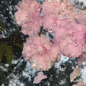城市灯火下的清白暧昧