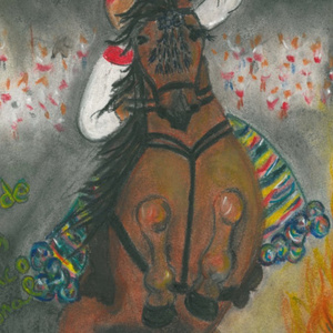 Pregón La Encamisa 2014 (En vivo de Fiestas San Antón 2014)