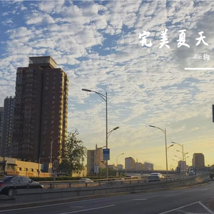 完美夏天（cover 高旗、霓虹花园）