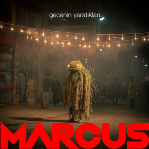 Belki Bir İçki Ya Da Bir Beden