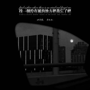 找一个没有风的地方把我忘了吧