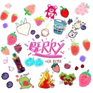 BERRY (Co0k Remix)