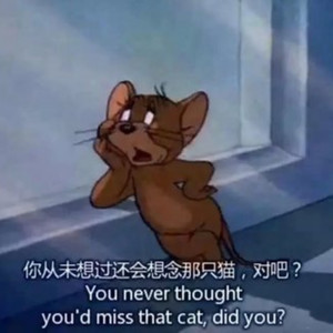 时代在召唤 （轻重电音合集）