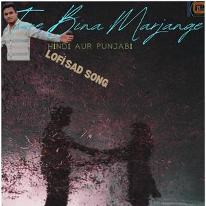 Tere Bina Marjange (Lofi)