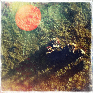 Wonderful Life