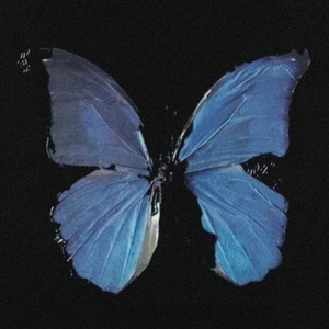 Hrs & Hrs(翻自:Muni Long)