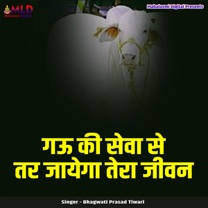 Gau Ki Seva Se Tar Jayega Tera Jeevan