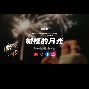 城裡的月光/大頭針