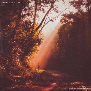 tore me apart