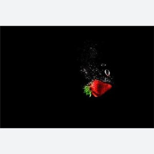 小公主砍骑士的奇幻冒险