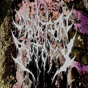 Postmortem Fetal Face****