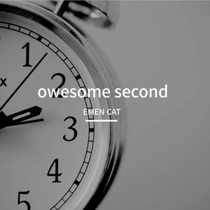 owesome second